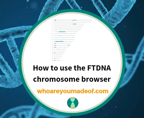 How to use the FTDNA chromosome browser