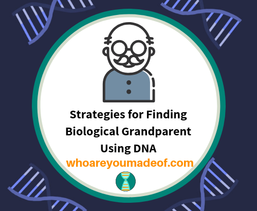 Strategies for Finding Biological Grandparent Using DNA