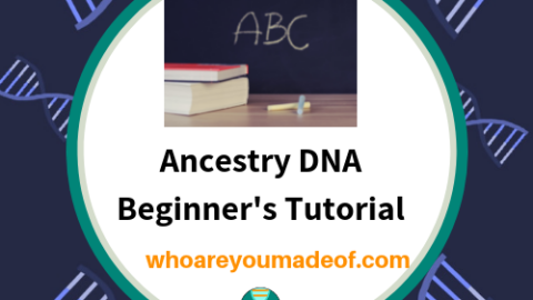Ancestry DNA Beginner's Tutorial