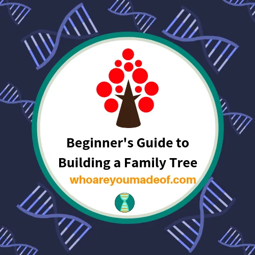 Finding Your Family Tree: A Beginner’s Guide to Researching Your Genealogy [Book]