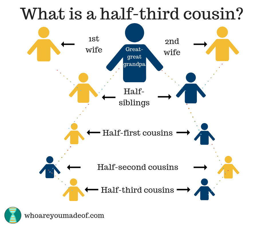 A cousin chart showing what half-third cousins are - they are descended from only one great-great grandparent (instead of a pair of great-great grandparents)