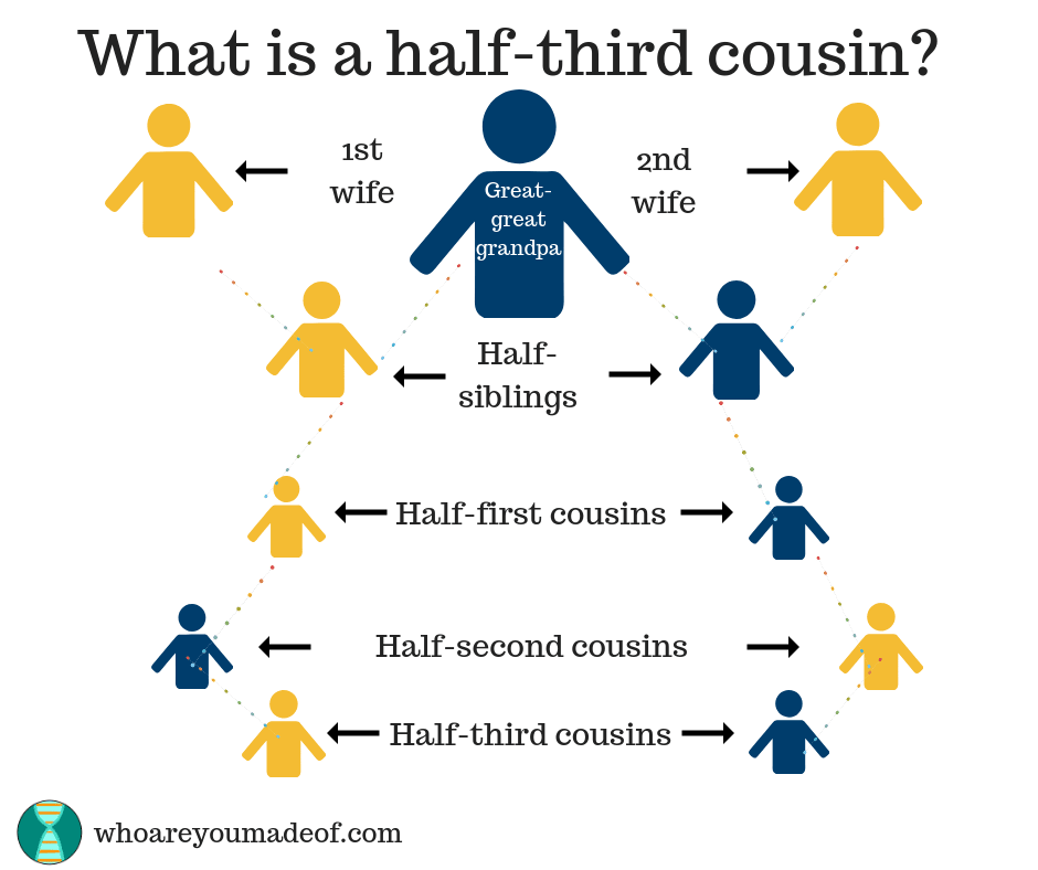 4th cousins related are blood Everybody is