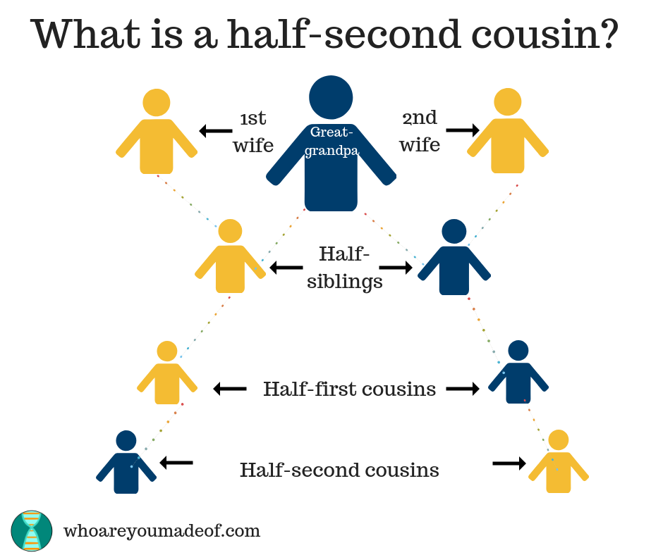 what-is-a-half-cousin-who-are-you-made-of