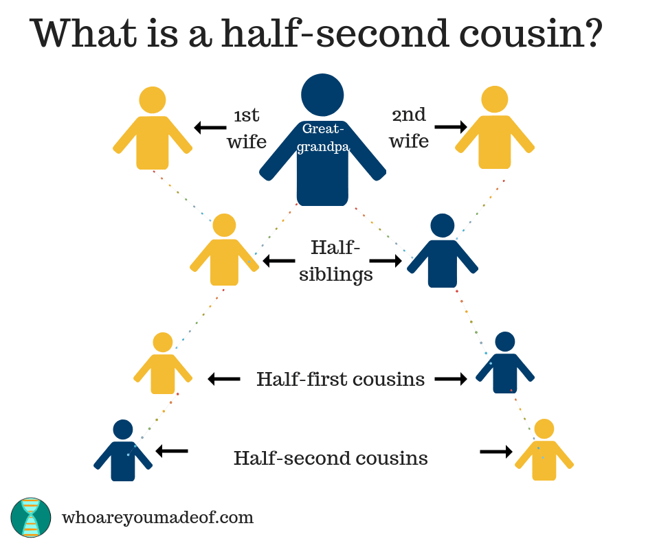 A chart explaining half-second cousins.  