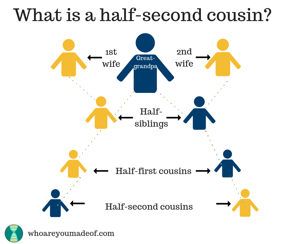 What Is A Half Cousin Who Are You Made Of