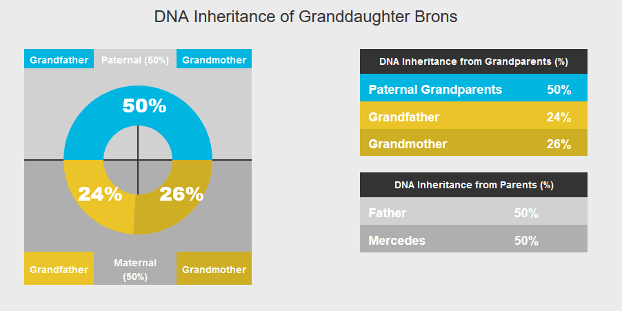 How much DNA do we share with our grandchildren