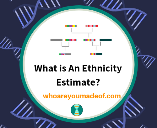 What is An Ethnicity Estimate_