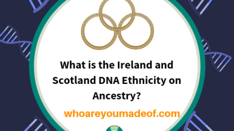 What is the Norway DNA Ethnicity on Ancestry - Who are You Made Of?
