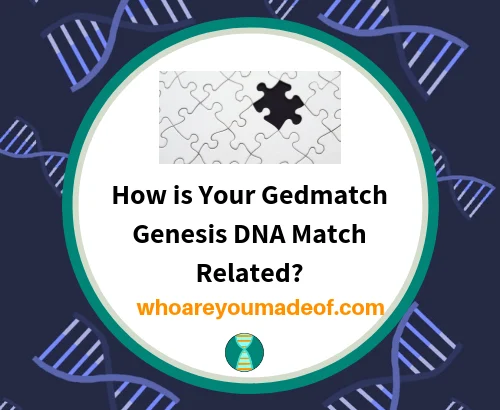 How is Your Gedmatch Genesis DNA Match Related?