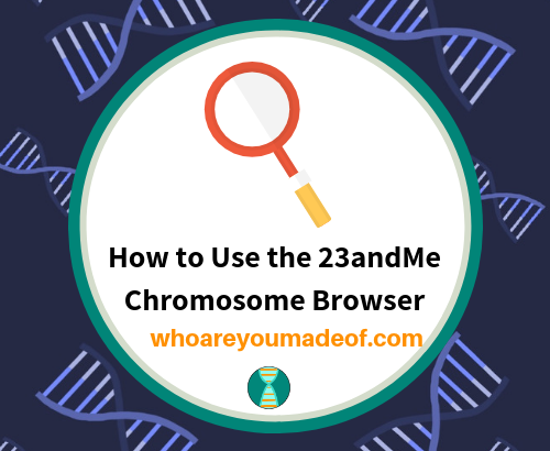 How to Use the 23andMe Chromosome Browser