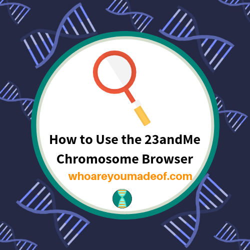 How to Use the 23andMe Chromosome Browser