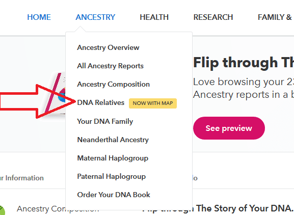 how to access the 23andme chromosome browser