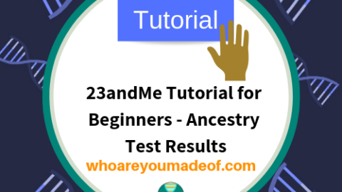 23andMe Tutorial for Beginners - Ancestry Test Results
