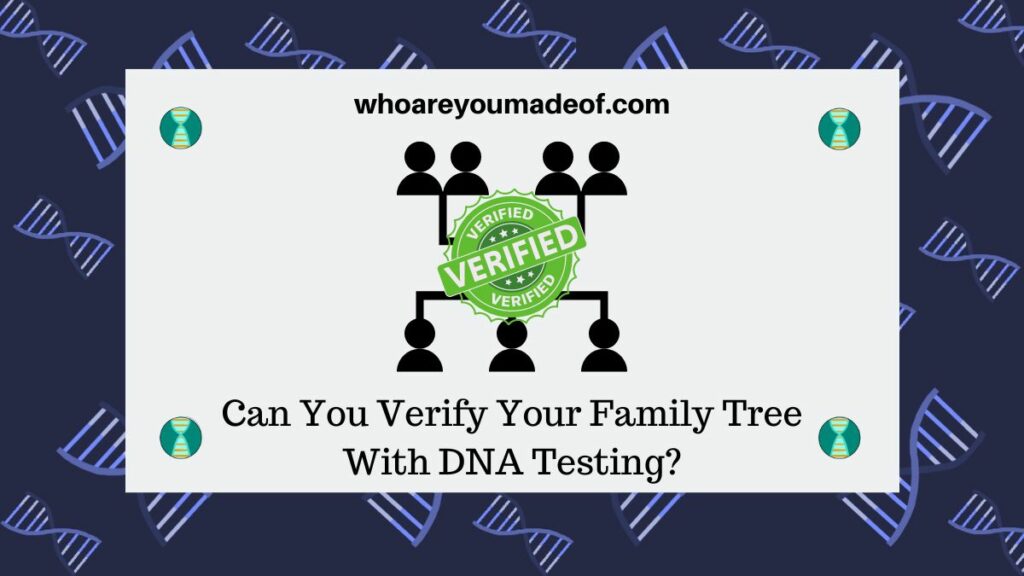 Can You Verify Your Family Tree With DNA Testing