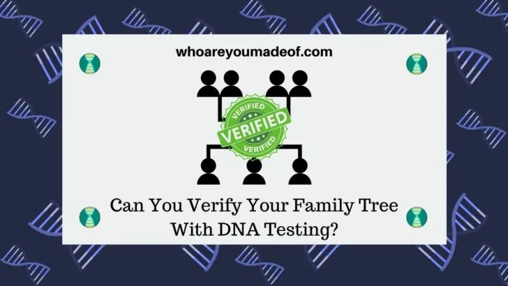 Can You Verify Your Family Tree With DNA Testing