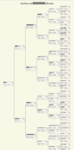 Free Family Tree Builder Download Who are You Made Of? Free Family Tree Builder Download Who are You Made Of?
