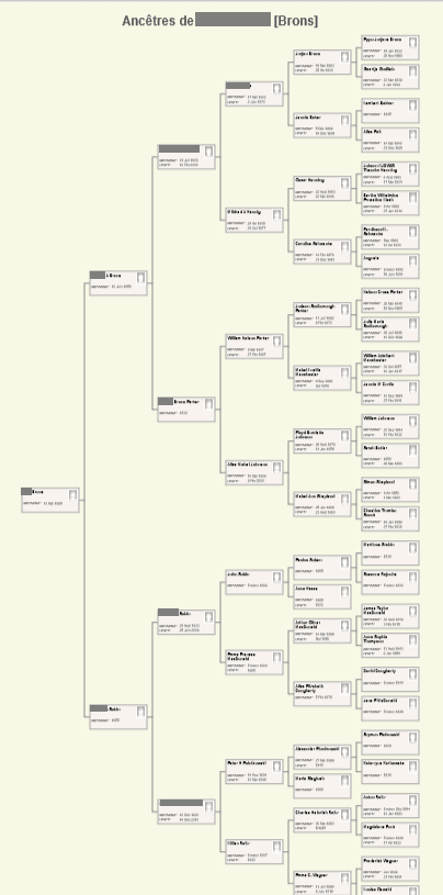 How to Create Beautiful Family Tree Charts on MyHeritage and Ancestry