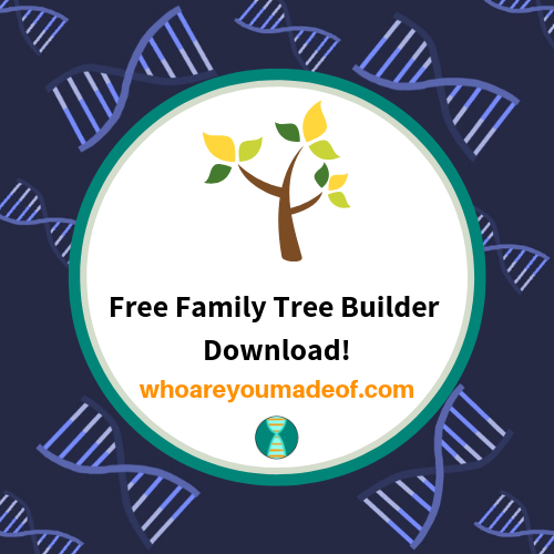 family tree builder software free