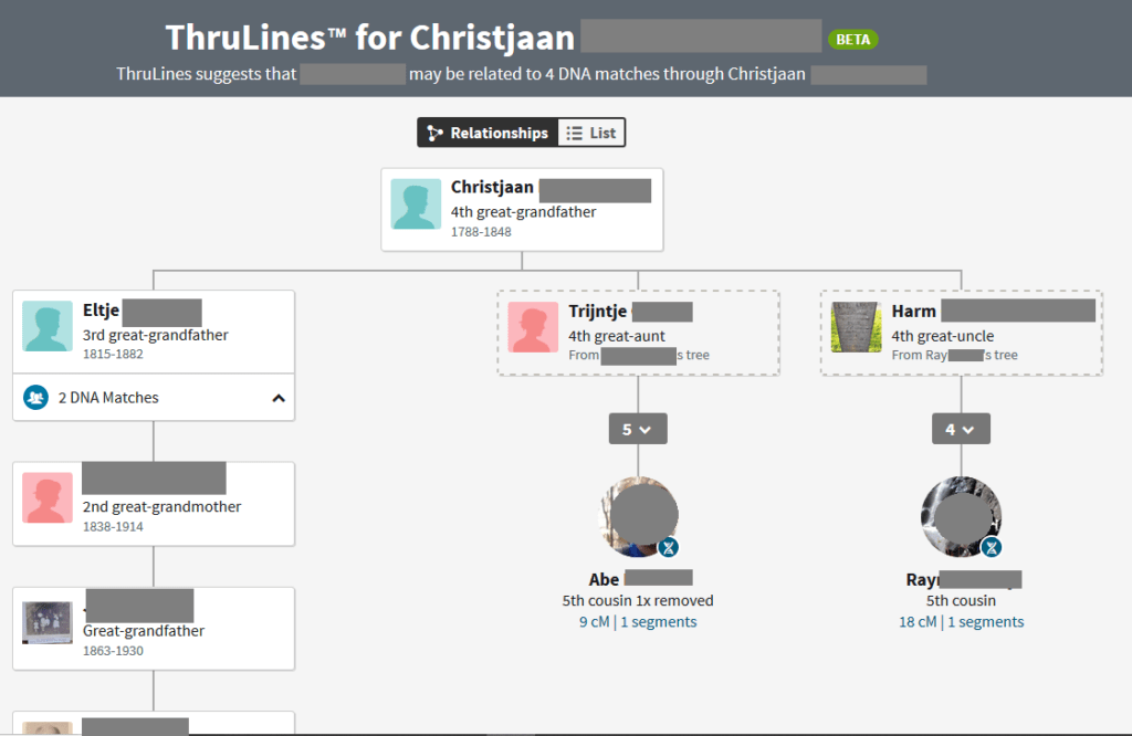 Example Of Ancestry DNA Results Financial Dna Sample Report