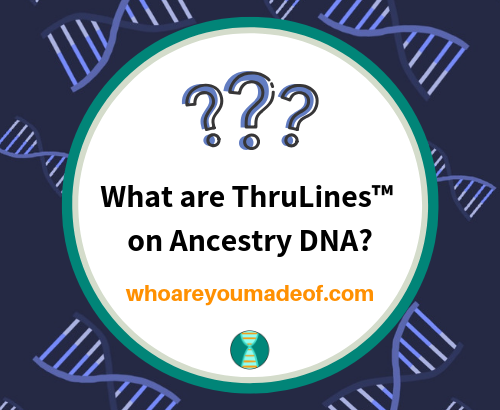 What are ThruLines™ on Ancestry DNA_