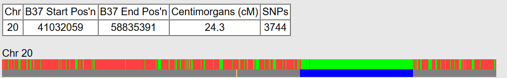 Example of Are Your Parents Related Results from Chromosome 20 showing that there is a 24.3 centimorgan identical segment