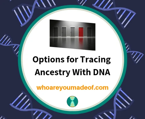 Options for Tracing Ancestry With DNA