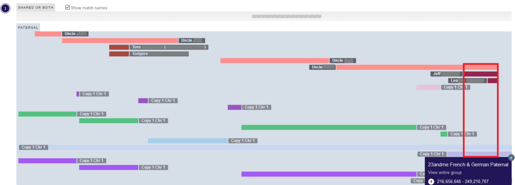 example of ethnicity data overlapping with DNA match segment on DNA painter