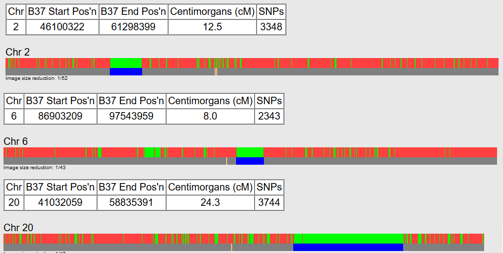 how to understand gedmatch genesis are your parents related results, snapshot of a person's Gedmatch results showing that their parents are likely related