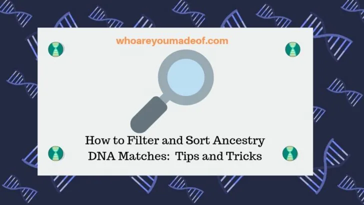 How to Filter and Sort Ancestry DNA Matches_ Tips and Tricks