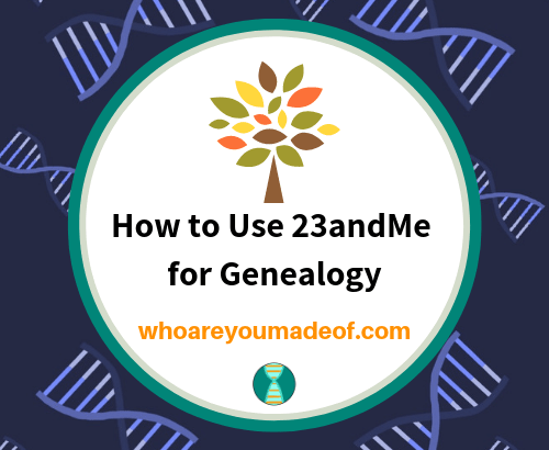 How to Use 23andMe for Genealogy