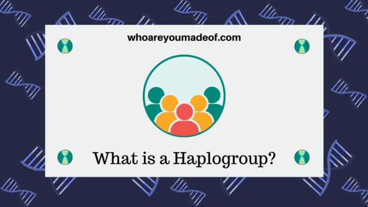 What is a Haplogroup?