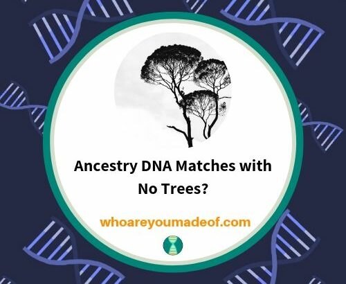 Ancestry DNA Matches with No Trees_