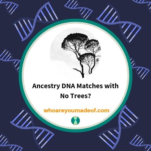 Ancestry DNA Matches with No Trees_