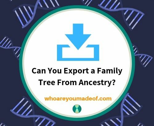 Can You Export a Family Tree From Ancestry_