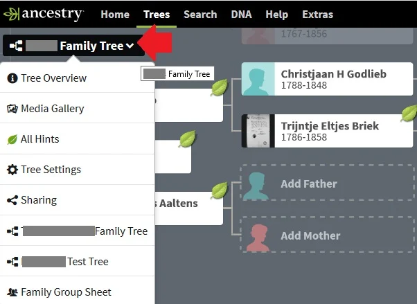 How to access family tree settings on ancestry, screenshot of the drop down menu from my family tree where Tree Settings can be seen as the fourth menu option