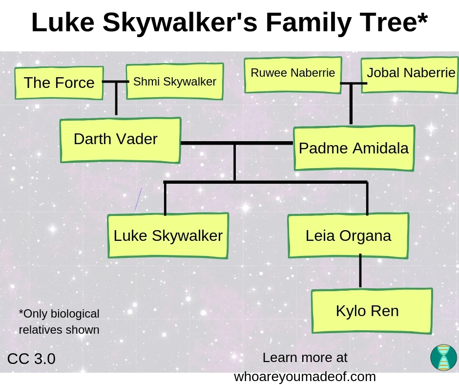 This is the Star Wars Genealogy Tree chart that shows the ancestors and descendants of Darth Vader and Padme Amidala