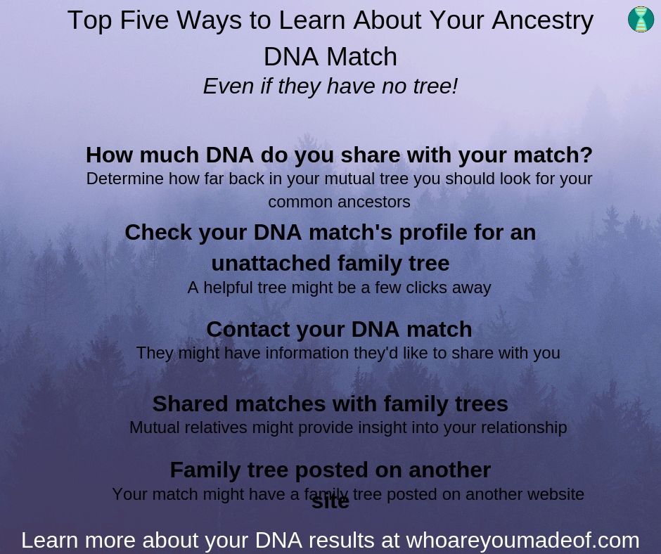 can i see my dna matches family trees