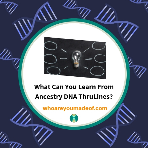 What Can You Learn From Ancestry DNA ThruLines_