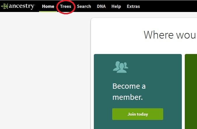 How to access your family tree on Ancestry