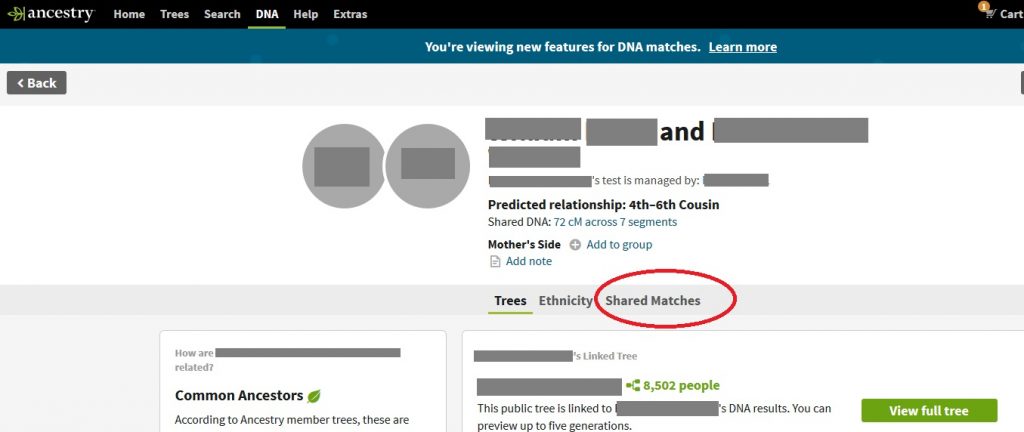 shared matches on ancestry dna match list