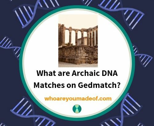 What are Archaic DNA Matches on Gedmatch_