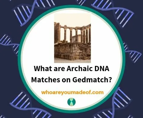 What are Archaic DNA Matches on Gedmatch_