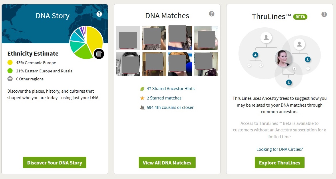 what do ancestry dna results look like