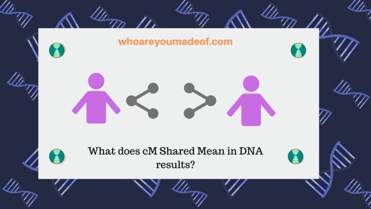 What does cM Shared Mean in DNA results_