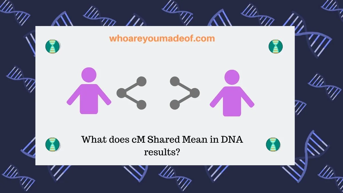 What Does Cm Shared Mean In Dna Results Who Are You Made Of