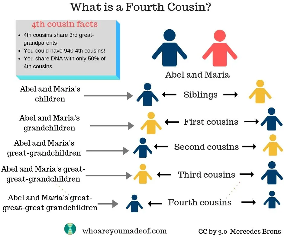 A chart depicting the answer to "what is a fourth cousin?"  This includes an example of two fourth cousins descended from Abel and Maria through two different descending lines of their offspring