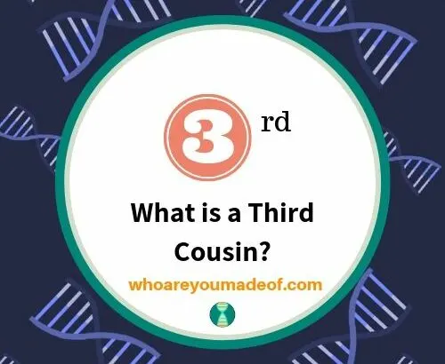 What is a Third Cousin_