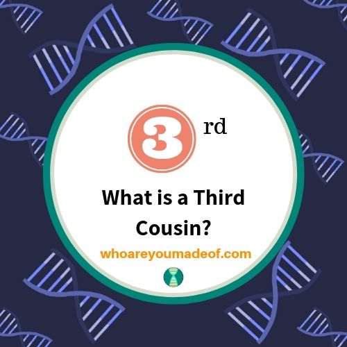 What is a Third Cousin_