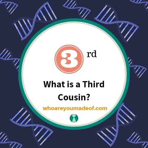 What does 3rd cousin once removed mean