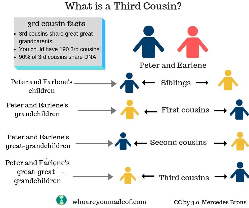 What is a third cousin?  This image is a visual example of third cousins., beginning with siblings (children of the great-grandparents) and ending with the third cousins 